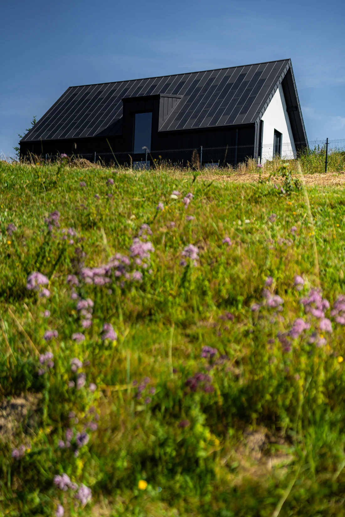 Contemporary dark house with an integrated solar roof in a Polish meadow